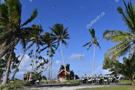 Image result for pacific islands