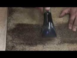 smartstrand carpet cleaning demo you