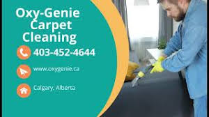 oxy genie carpet cleaning services