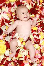 cute boy in rose petals stock photo