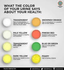 What Your Wee Wee Is Telling You Kidney Health Color Of