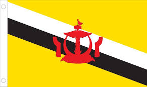 Brunei World Flags - Nylon & Polyester - 2' x 3' to 5' x 8'
