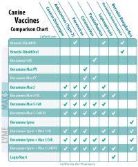 Dog Vaccination Schedule Chart Philippines Dog