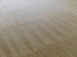 carpet cleaning tips carpet bright uk