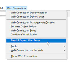 iis express configuration for web