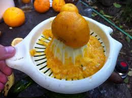 Výsledek obrázku pro pomerančový džus