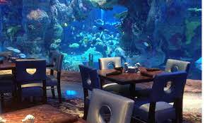 Aquarium Restaurants gambar png