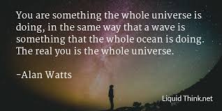 Image result for alan watts quotes