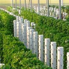 Permaculture Vs Organic Farming