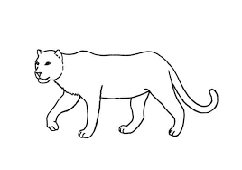 Start by drawing the outline of your cheetah's head in pencil. How To Draw Cats Step By Step Easy Animals 2 Draw