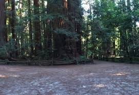 There are 22 moderate trails in henry cowell redwoods state park ranging from 3.5 to 15.3 km and from 78 to 611 meters above sea level. Roaring Camp And Henry Cowell Redwood Park