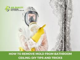 Remove Mold From Bathroom Ceiling Diy
