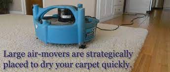 are carpet cleaning machines worth it