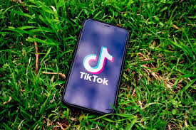 Tiktok does have two serious failings, though, and both should give its hundreds of millions of users reason for concern. Scoperta Una Falla In Tiktok I Problemi Di Privacy E Sicurezza Nei Social