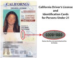 After that, it will have to be real id compliant. Where Is Id Number On Drivers License Cute766