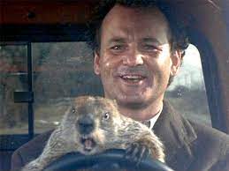 Bill Murray Reenacts Groundhog Day By Going To See Groundhog Day  gambar png