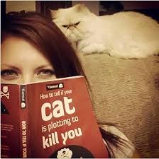 Check spelling or type a new query. How To Tell If Your Cat Is Plotting To Kill You By Matthew Inman