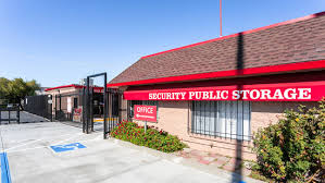 security public storage