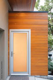 Modern Entry Door With Frosted Glass