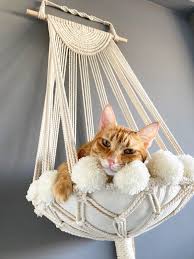 the prettiest macrame cat hammocks i