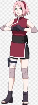 Its resolution is 900x1116 and it is transparent background and png format. Krillin Last Naruto The Movie Sakura Haruno Cosplay Costume Transparent Png 833x2252 3836877 Png Image Pngjoy