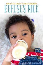 Toddler Suddenly Refusing Milk