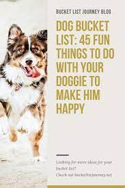 dog bucket list 45 fun things to do
