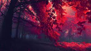Red Trees Wallpapers Backiee