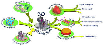 recent developments in 3d bio printing
