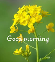 lovely good morning images with es