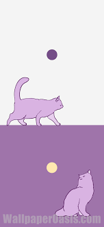 Purple Cat Iphone Wallpaper