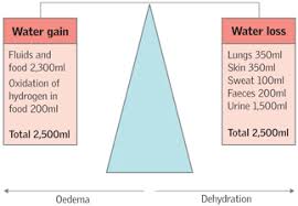 The Importance Of Fluid Balance In Clinical Practice