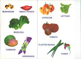 vegetable names in english and telugu