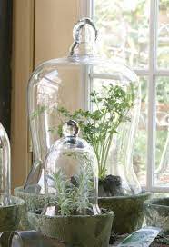 cloches the bell jar glass cloche