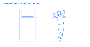 twin xl bed dimensions drawings