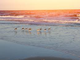 visit topsail island best of topsail