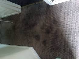 cleaning carpet stains