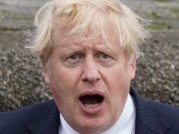 Boris johnson (born new york, june 19, 1964) is the prime minister of the united kingdom and leader of the conservative party, serving since july 2019. Boris Johnson Plans To Resign After Election To Make Money Cummings