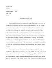 meaningful experience essay docx