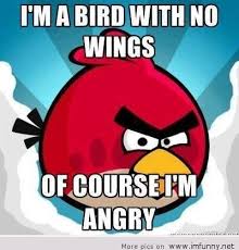 Angry-birds-meme.jpg via Relatably.com