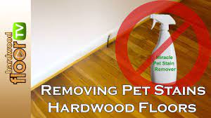 remove pet urine sns from hardwood