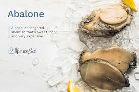 what is abalone