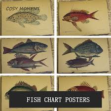 Us 1 81 10 Off Cosy Moment Fish Chart Vintage Poster Retro Kraft Paper Cafe Bar Home Wall Decorative Early Education Painting Poster Qt376 In Wall