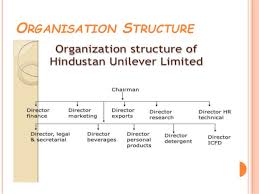 Fmcg Industry Organisation Structure