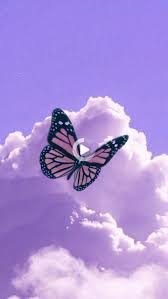 Bugs butterflies wallpaper you ll love in 2020 wayfair. Purple Butterfly Wallpaper In 2021 Butterfly Wallpaper Iphone Purple Butterfly Wallpaper Butterfly Wallpaper