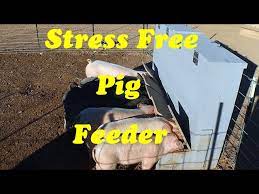 automatic pig feeder build 400lb
