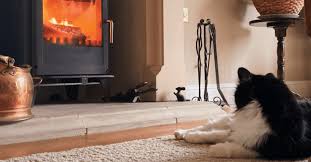 Your Cat Safe Healthy In Winter
