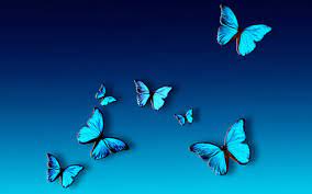 Desktop Blue Butterfly Wallpaper - iXpap