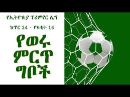 ethiopian premier league top 10 goals