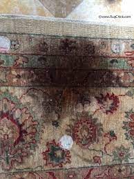 rugs that stink rug